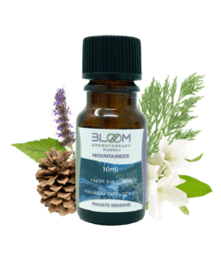 Essential Oils by Bloom Aromatherapy - Designed for Air Diffusers