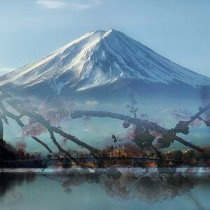 Mt. Fuji Collection